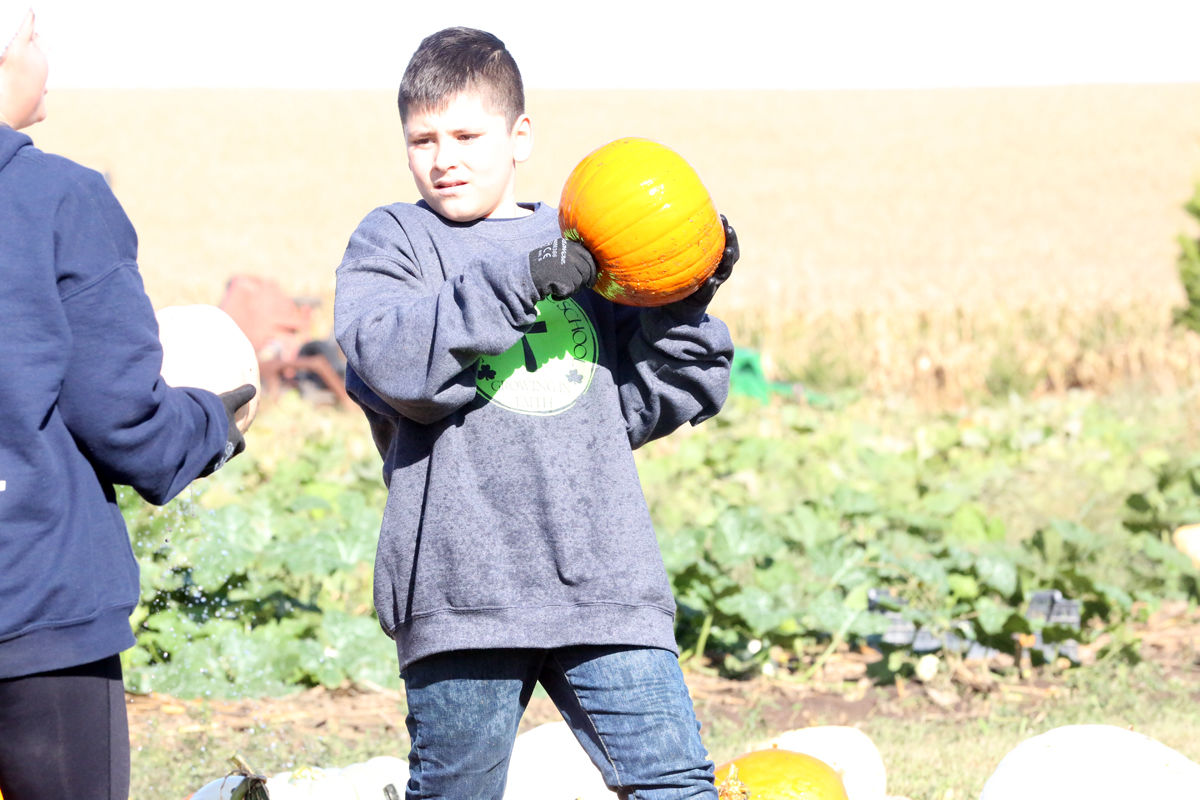 St Joseph Pumpkin Patch (19).jpg